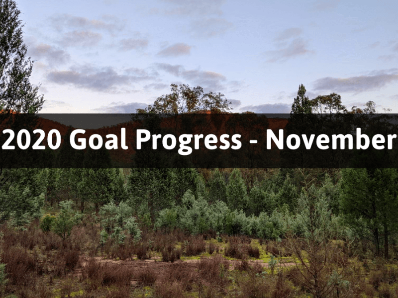 2020 Goal Progress –&nbsp;November