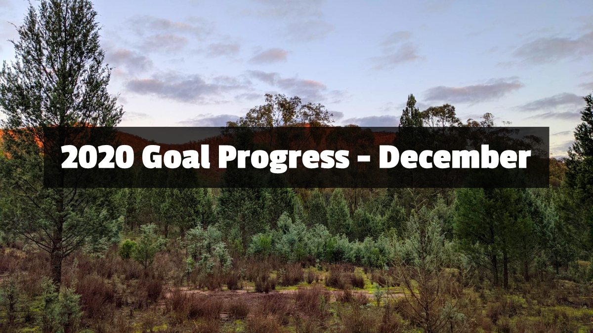 2020 Goal Progress – December – Nathan Challenges Life