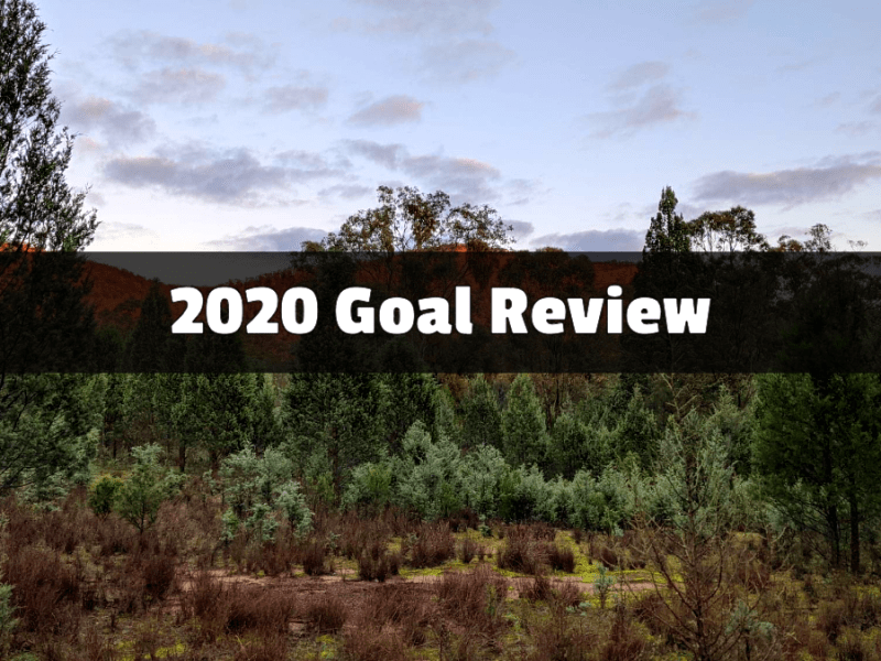 2020 Goal Review