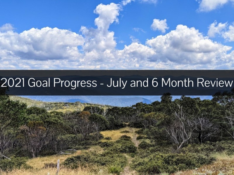 2021 Goal Progress – July and 6 Month&nbsp;Review