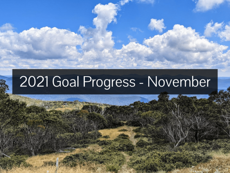 2021 Goal Progress –&nbsp;November